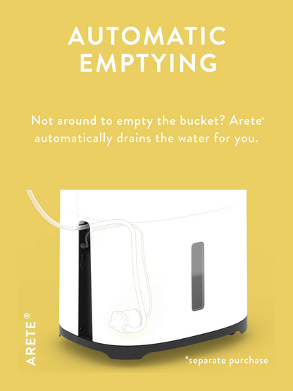 MeacoDry Arete® One 20L Dehumidifier / Air Purifier